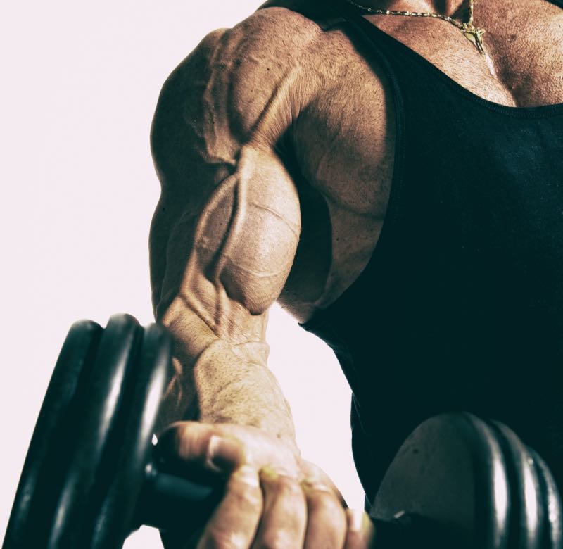 damir spanic 22L7do1cOho unsplash 1